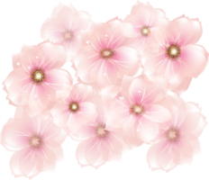 Pink flowers background