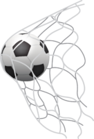 Soccer ball in the goal