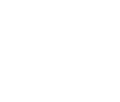 The universe, the stars