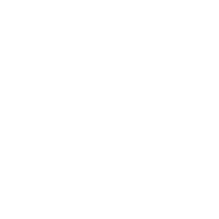 The starry sky, the universe