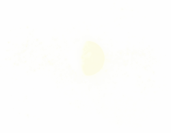 Night sky moon