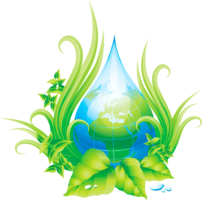 Ecology of water for children