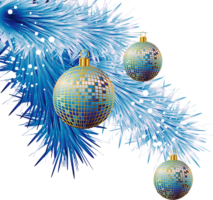Blue spruce branch