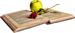 An open book with an apple