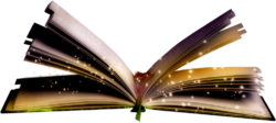 Book, album