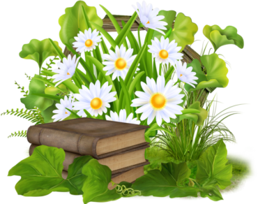 Daisies in books