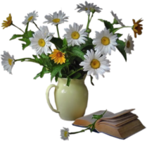 book, quotes, words, letters, poems, notebook, literature