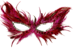 Mask with feathers