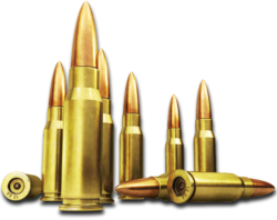 Bullets reload