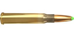 AVP bullet