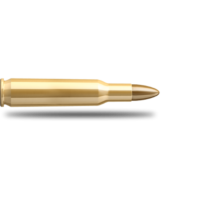 Cartridge, bullet