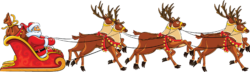 Rudolf the reindeer in harness