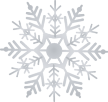 Silver Snowflake
