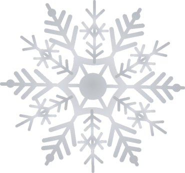 Silver Snowflake