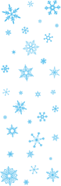 Lots of snowflakes