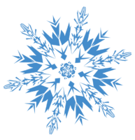 Snowflake