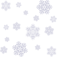 Beautiful snowflakes, snow