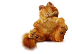 Garfield movie