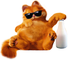 Garfield the cat, a character