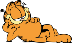 Garfield the Cat