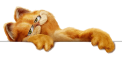 pngimg.com – garfield_PNG59
