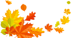 Yellow leaves, autumn