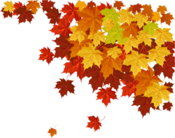 Autumn background, leaves