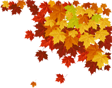 Autumn background, leaves