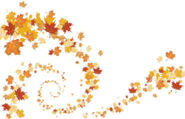 Autumn background, leaves