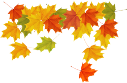 Autumn leaves background