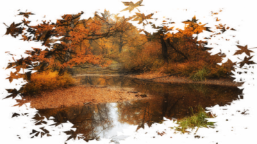 Autumn, river, landscape