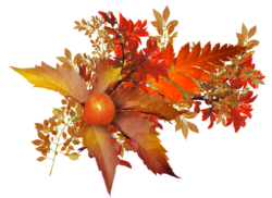 Bouquet of autumn leaves