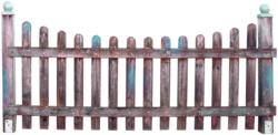 Old fence