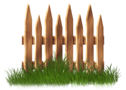 Wooden fence and green grass