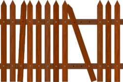 Wooden fences