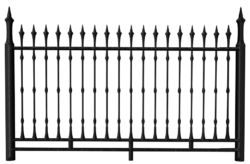 Wrought iron gates, iron railings