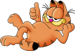 Frowning Garfield