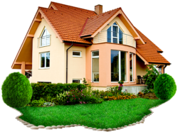 Country house project