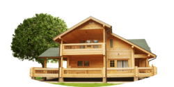 Building, tree, house
