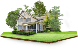 House with plot, building
