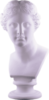 Plaster head