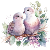 Wedding pigeons watercolor