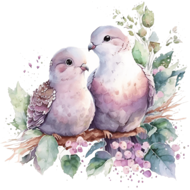 Wedding pigeons watercolor