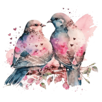 Lovebirds, watercolor