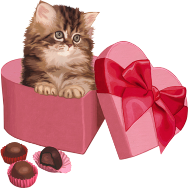 Cat with gifts