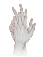 Aesthetics of anime hands