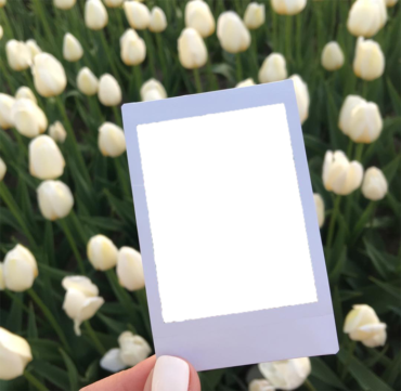 Polaroid photo frame, tulips