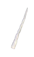 Unicorn horn, template