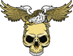 Tattoo,harley davidson with an eagle skull