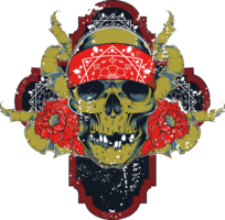 Tattoo , guns n roses skull